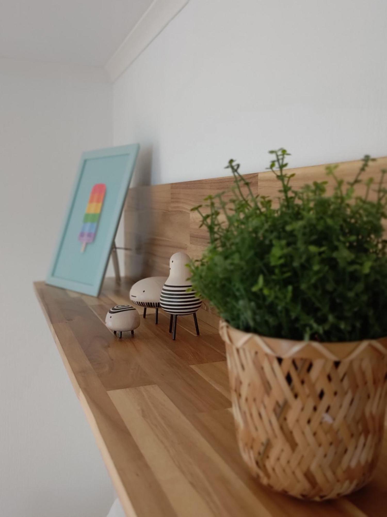 Appartementen Dorp & Duin Egmond aan Zee Zewnętrze zdjęcie